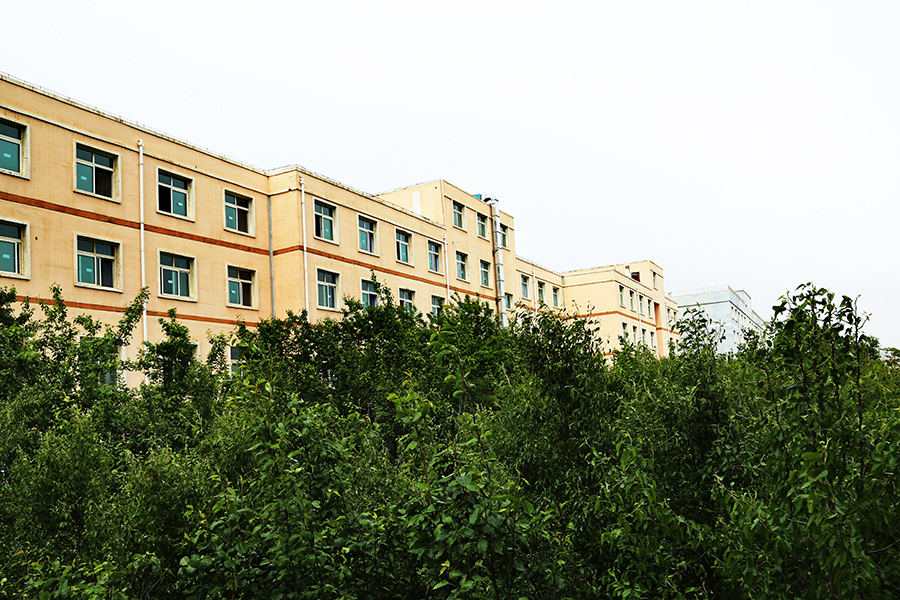 家长为什么让你去甘肃秦陇技工学校而不是去汽修店呢？