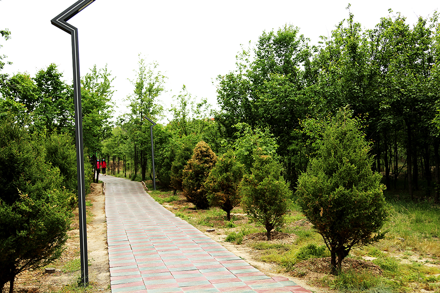 初中毕业在甘肃秦陇技工学校学习机电一体化专业前景如何？